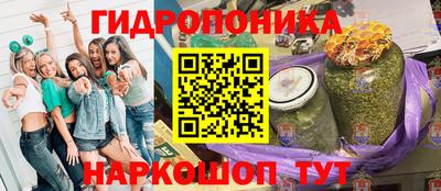 амф Обь