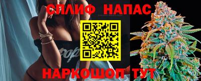 амф Обь