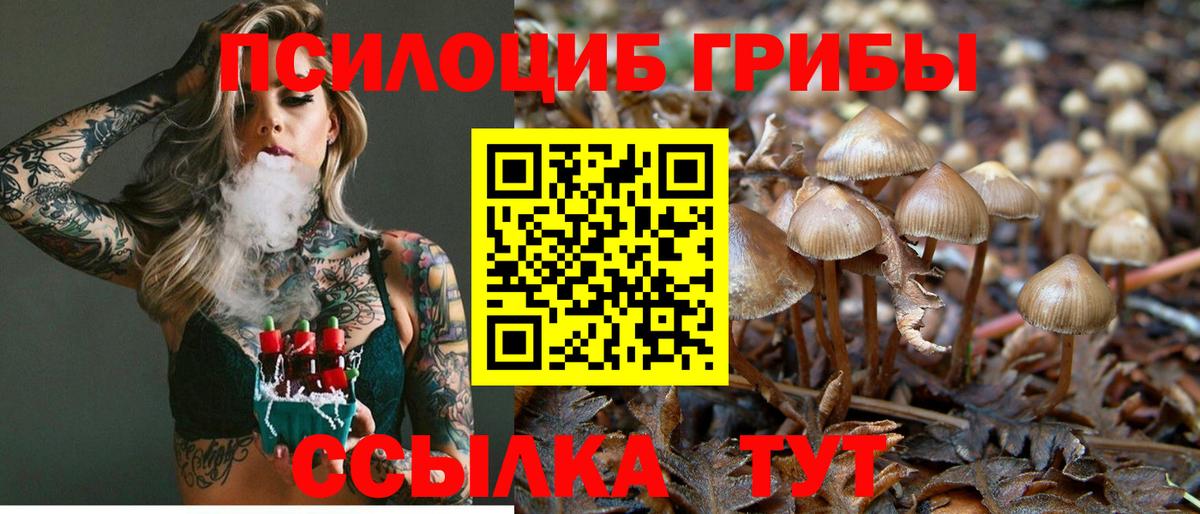 Усолье-Сибирское  Галлюциногенные грибы Magic Shrooms  Вход с VPN 